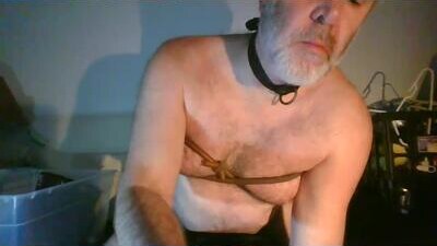 malebdsmslut public webcam profile photo 7