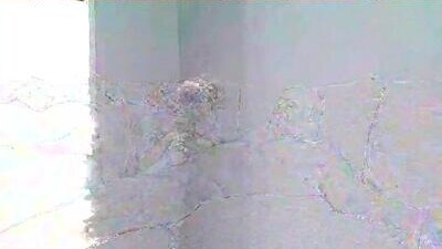 malibumelons public webcam profile photo 7