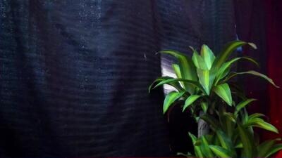 michellgrey public webcam profile photo 2