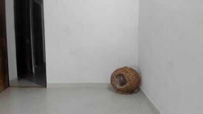 milena_u public webcam profile photo 3