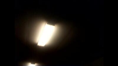 mrclydesdaletail public webcam profile photo 2
