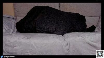 mrj9921 public webcam profile photo 8