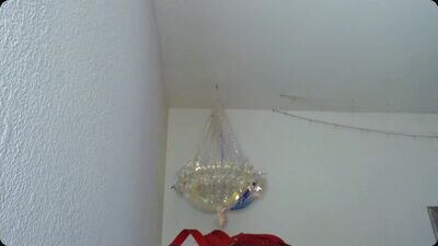 mymaryangel