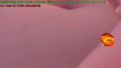 nacmar public webcam profile photo 8