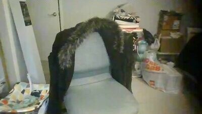 robwit8 public webcam profile photo 6