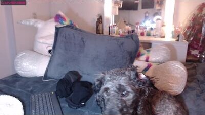 salomefox2 public webcam profile photo 6