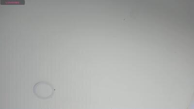 samxx_muscle public webcam profile photo 7