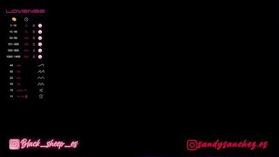 sandysanchez public webcam profile photo 3