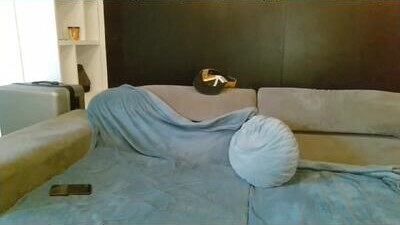 sapphirevelvet public webcam profile photo 10
