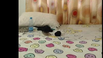 sera_booty public webcam profile photo 8