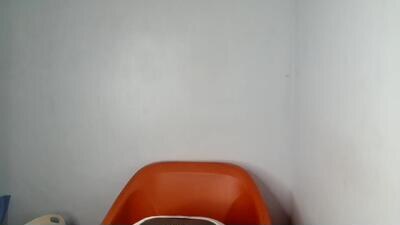 sexy_wet_lily public webcam profile photo 2