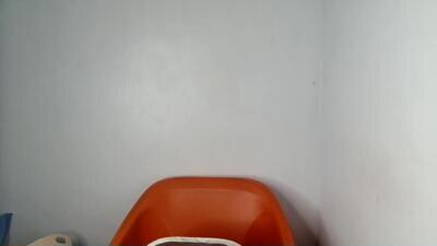 sexy_wet_lily public webcam profile photo 4