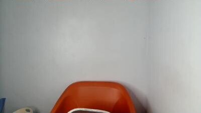 sexy_wet_lily public webcam profile photo 5
