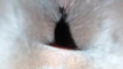 staminalord public webcam profile photo 8