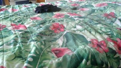 stel7621 public webcam profile photo 3