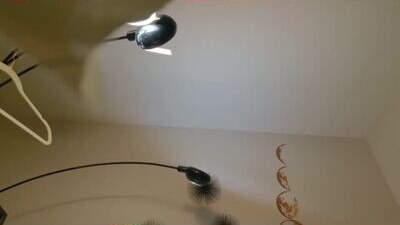 stimulatingsituation public webcam profile photo 7