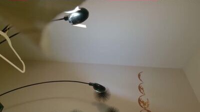 stimulatingsituation public webcam profile photo 8