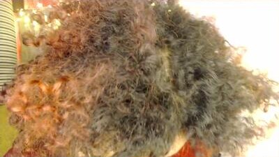 suggabrown_ public webcam profile photo 6