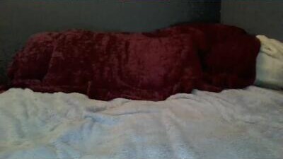 suseee public webcam profile photo 10