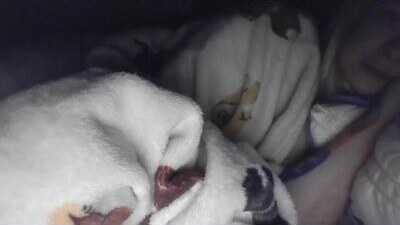 thrillho89 public webcam profile photo 6
