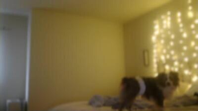 titsmcgeee123 public webcam profile photo 3