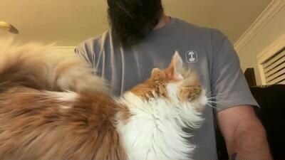 uncutbeard129840 public webcam profile photo 2