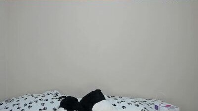 valery_smitd public webcam profile photo 9