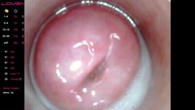 xxs_pie