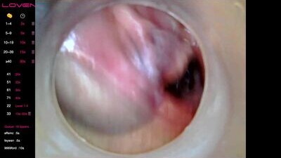 xxs_pie public webcam profile photo 9