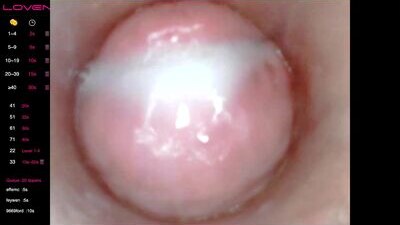 xxs_pie public webcam profile photo 10
