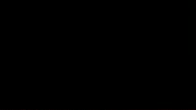your_night_fury