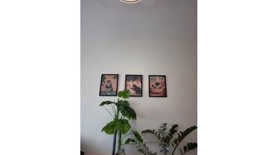 adriennesexxx public webcam profile photo 2