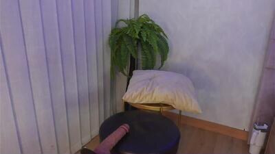 daliacruz public webcam profile photo 4
