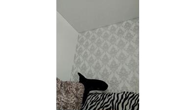 Kathrine_Kit public webcam profile photo 3