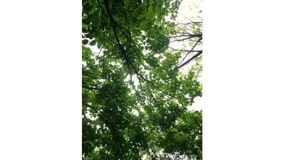 keli_jessi public webcam profile photo 6