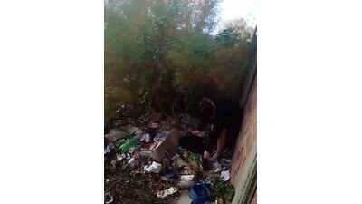 Labellasex public webcam profile photo 8