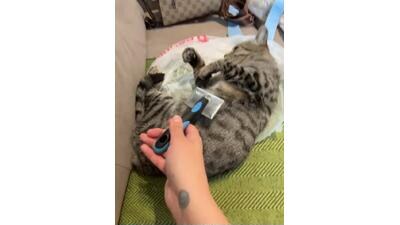 RinaCat public webcam profile photo 4