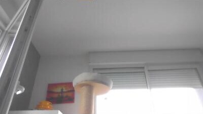 sexy007sexy public webcam profile photo 9