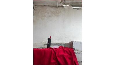 Sexyquerubin public webcam profile photo 9