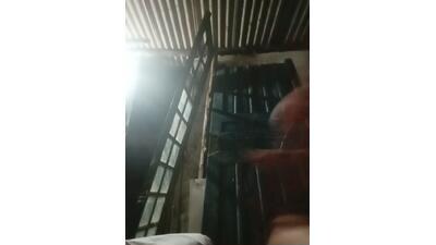 srtsara public webcam profile photo 2