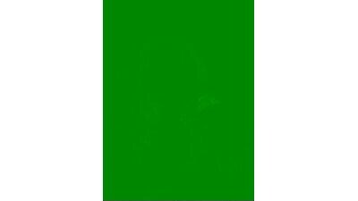 SSSATIVA_model