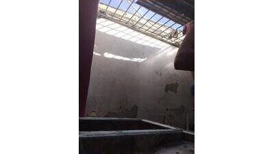 tayson_ public webcam profile photo 10