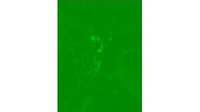 VikaBunny1 public webcam profile photo 8
